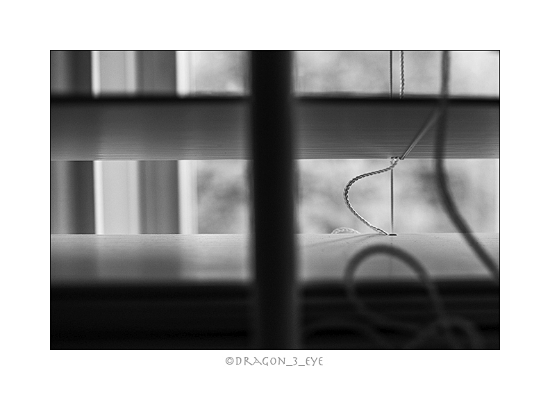 Window String 5