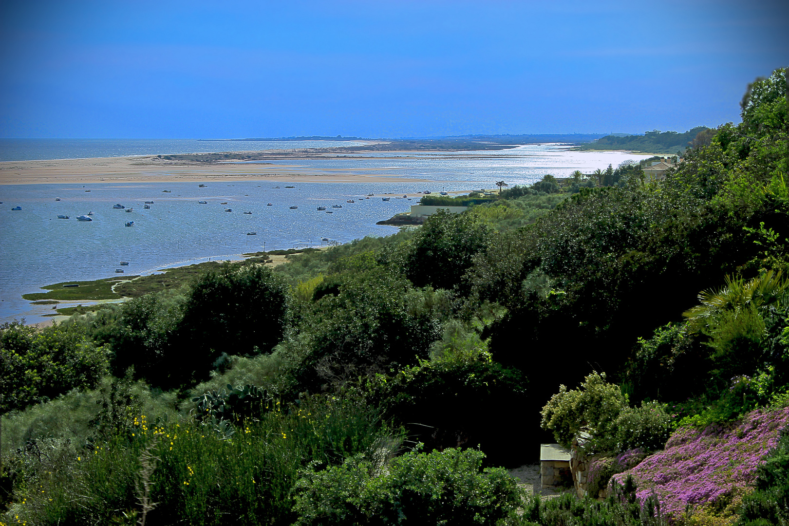 Window to Ria Formosa