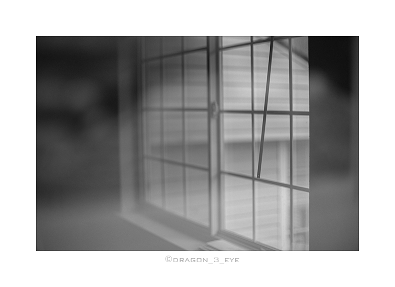 Window Vision