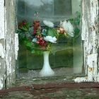 window with affected flowers