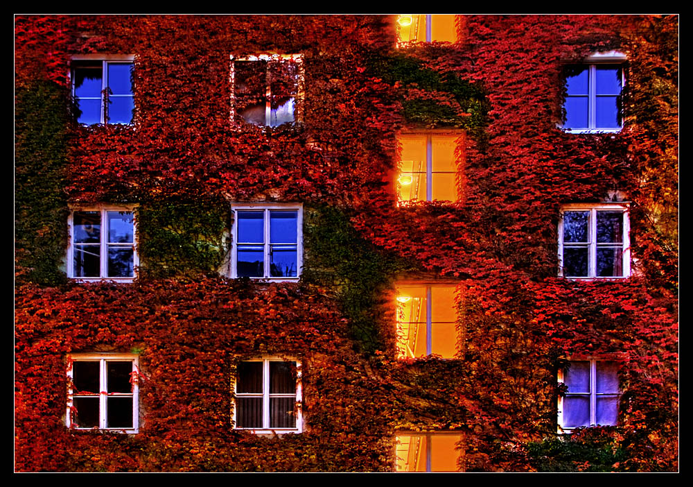 Windows 2007 - Autumn Edition