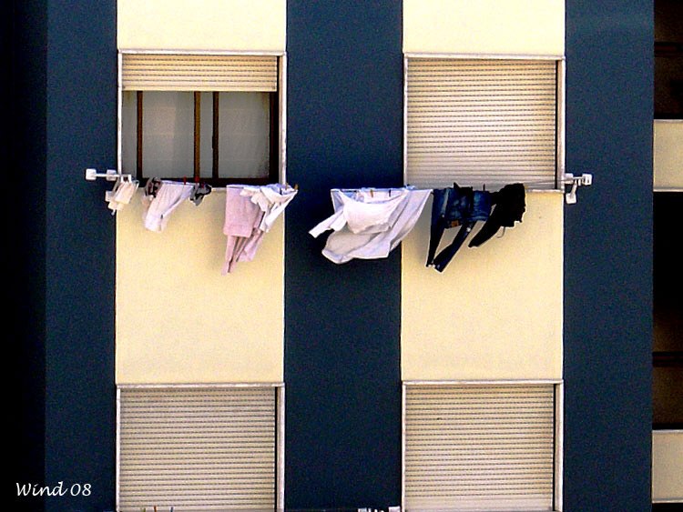 Windows and clothes