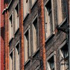 Windows and Old Brick, Heidelberg