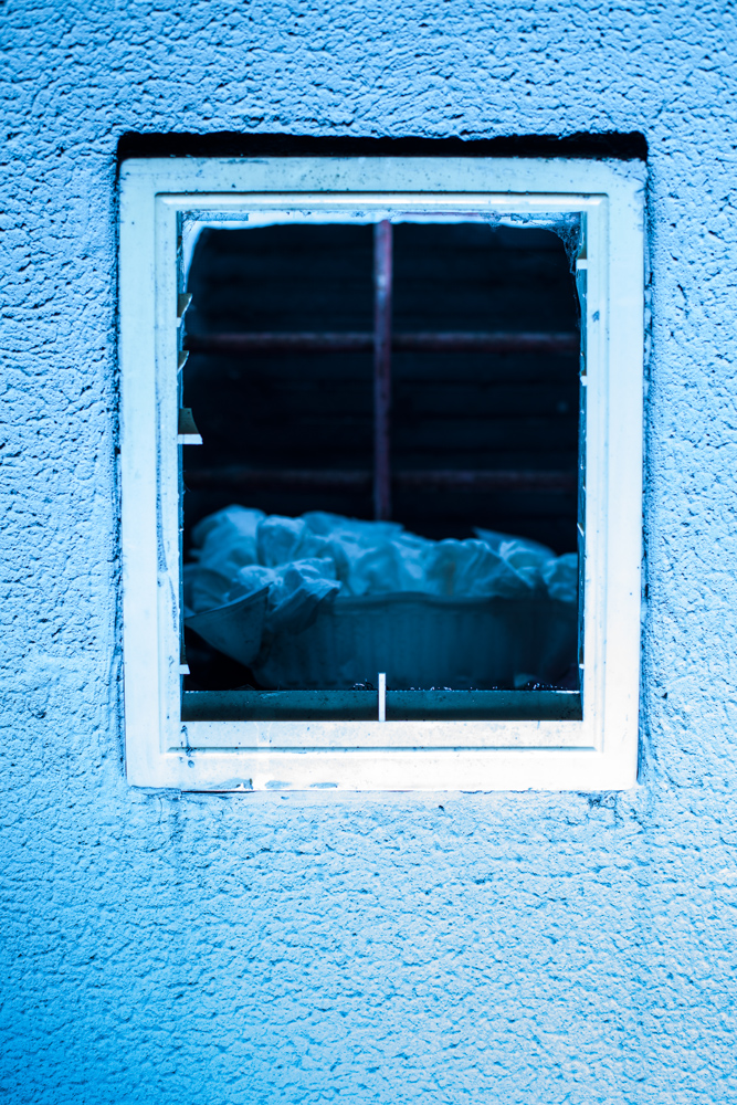 Windows by Night