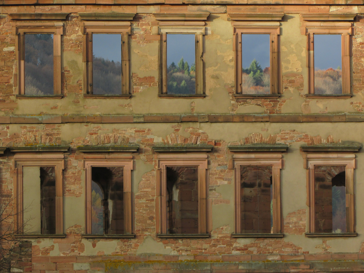 Windows - Heidelberg Castle