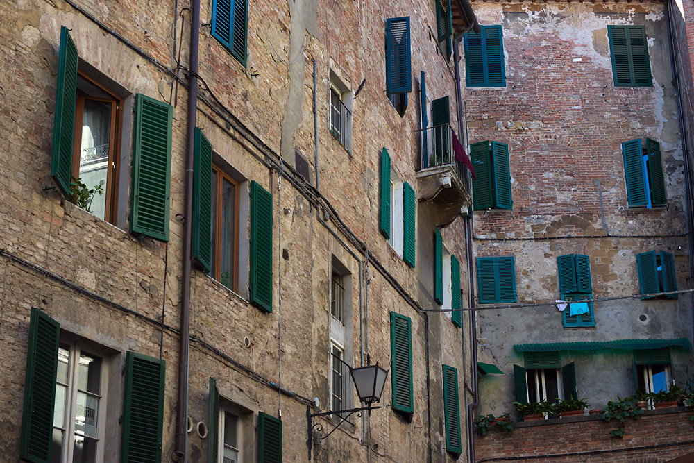 Windows in Siena