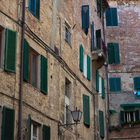 Windows in Siena