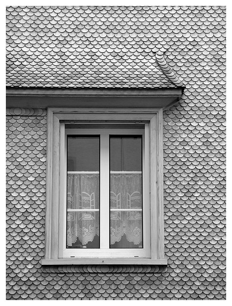 Windows in the window