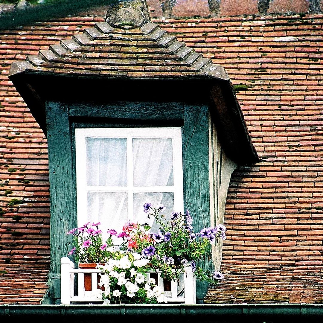 Windows of Europe