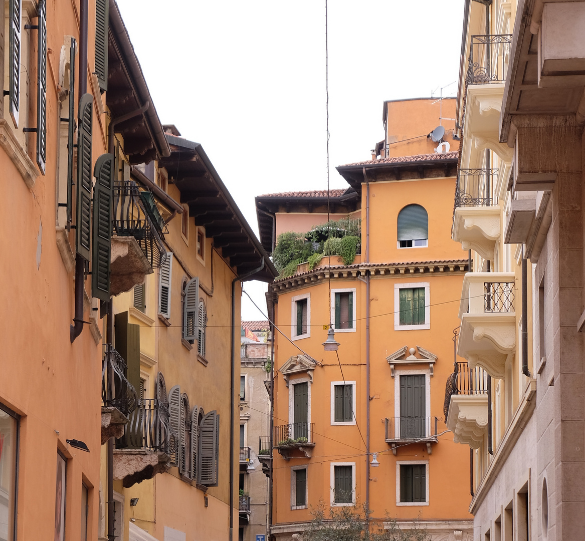 Windows of Verona