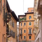 Windows of Verona