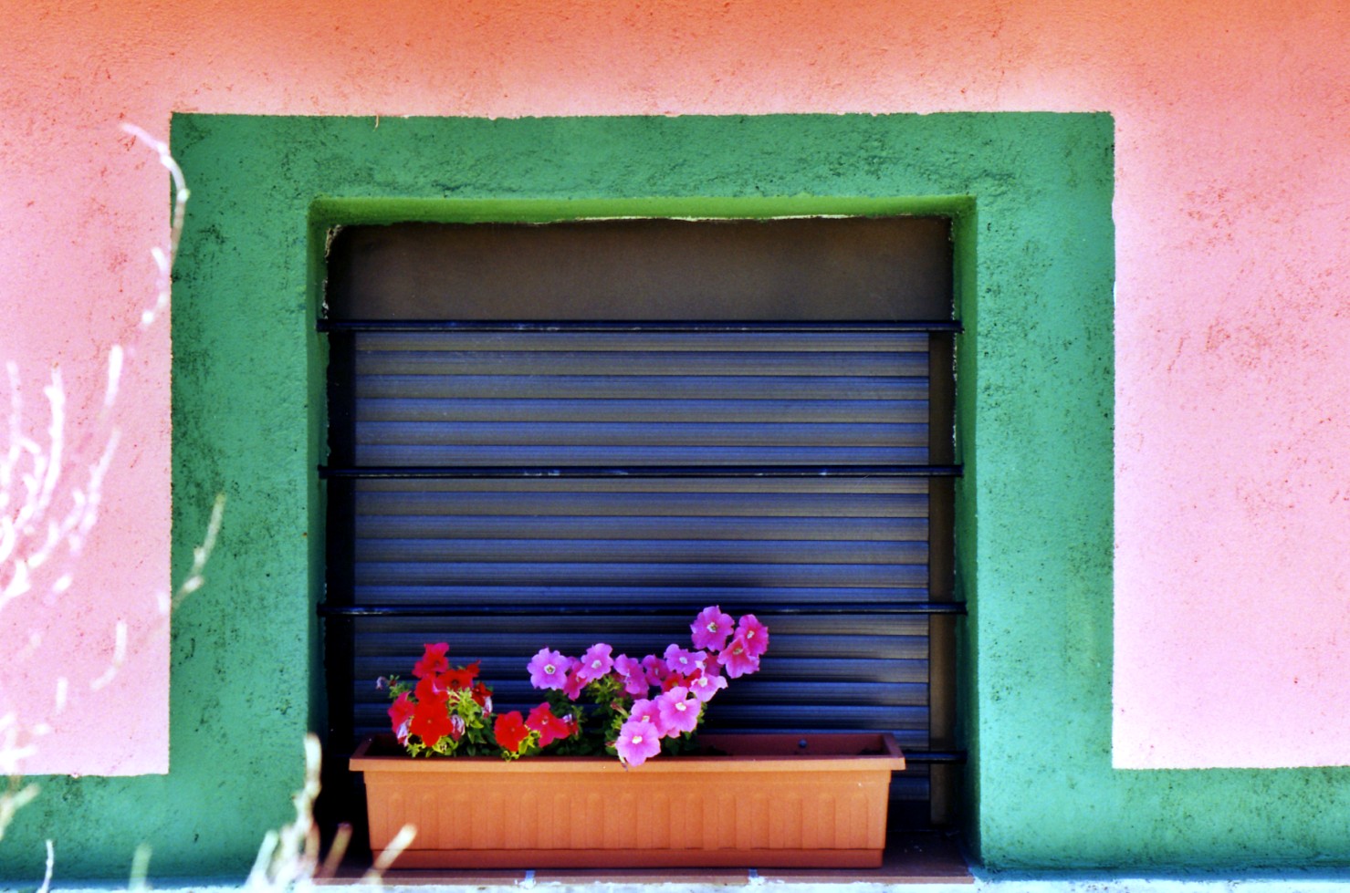 WINDOWS PINK&GREEN