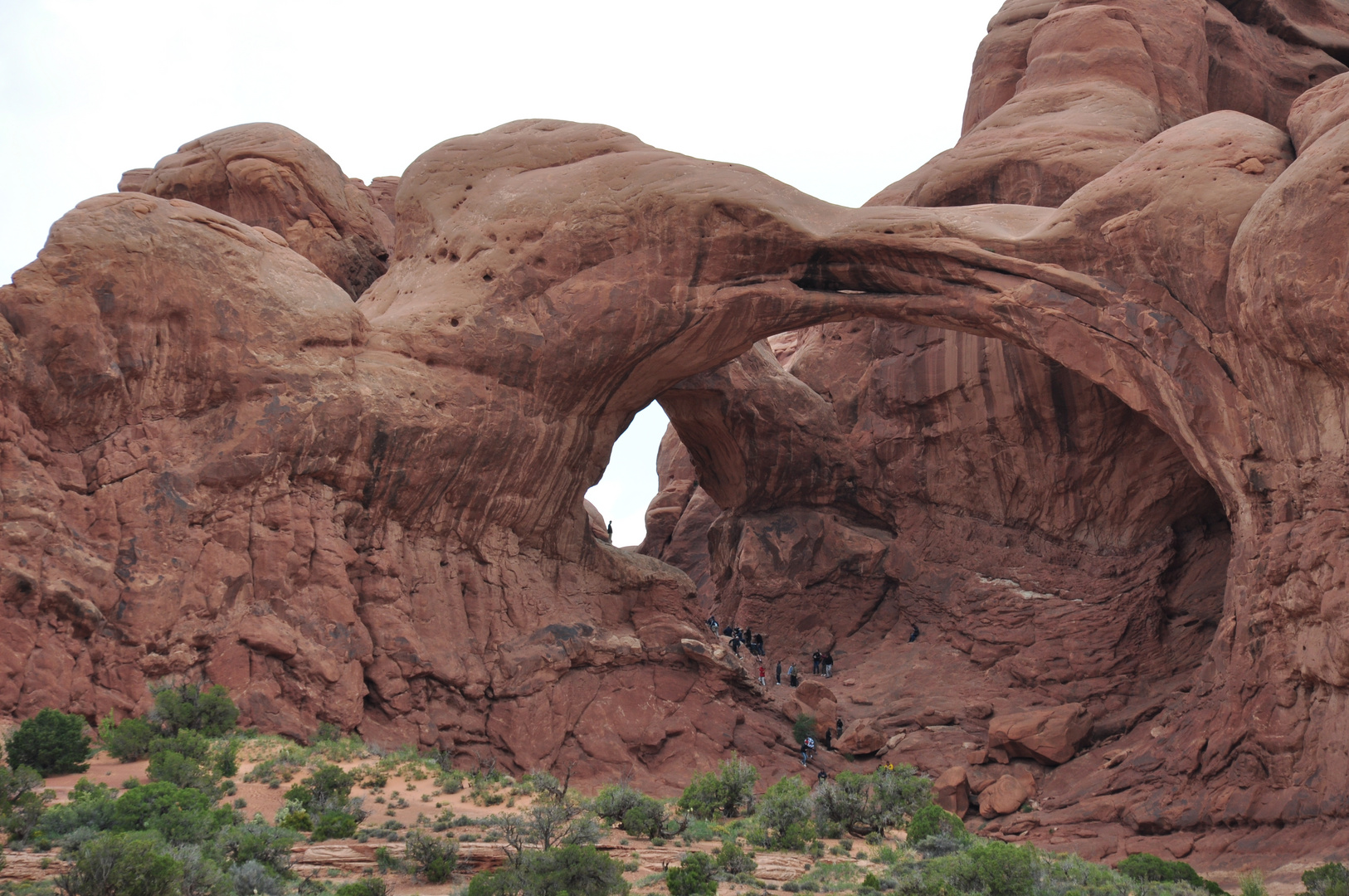 Windows Section im Arches National Park