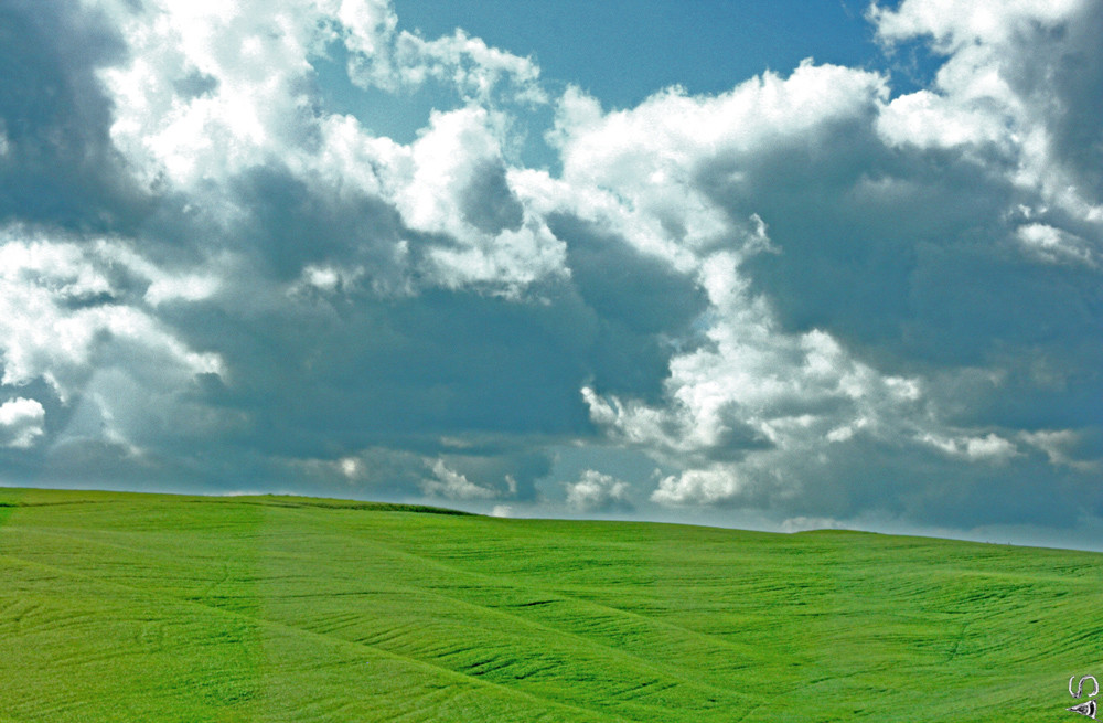 windows xp