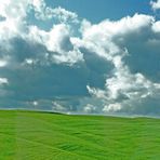 windows xp