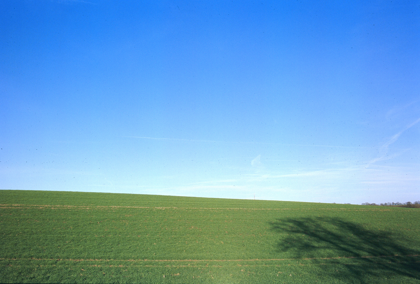 Windows XP 2.0 Foto & Bild landschaft, Äcker, felder & wiesen, wiese