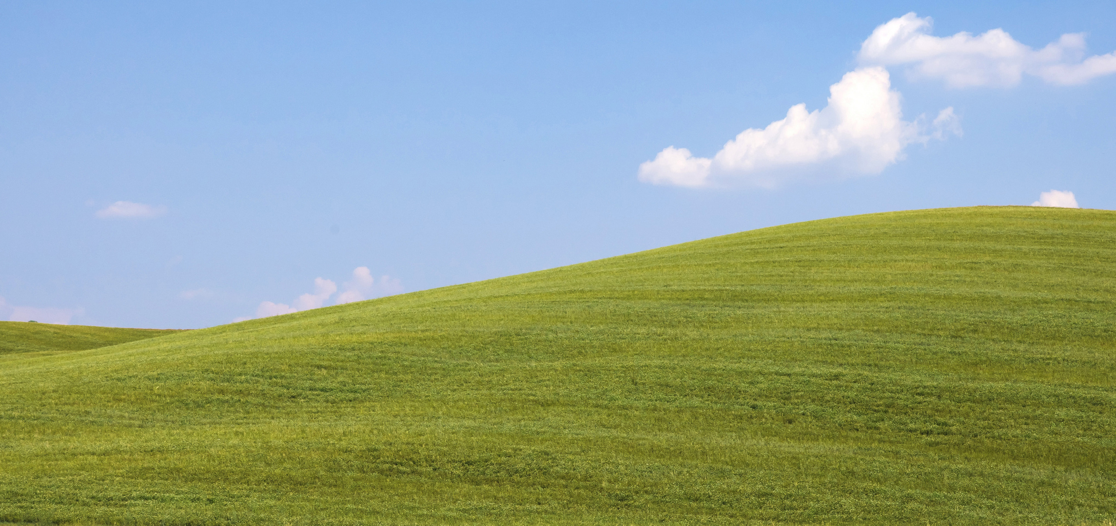 Windows XP