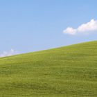 Windows XP