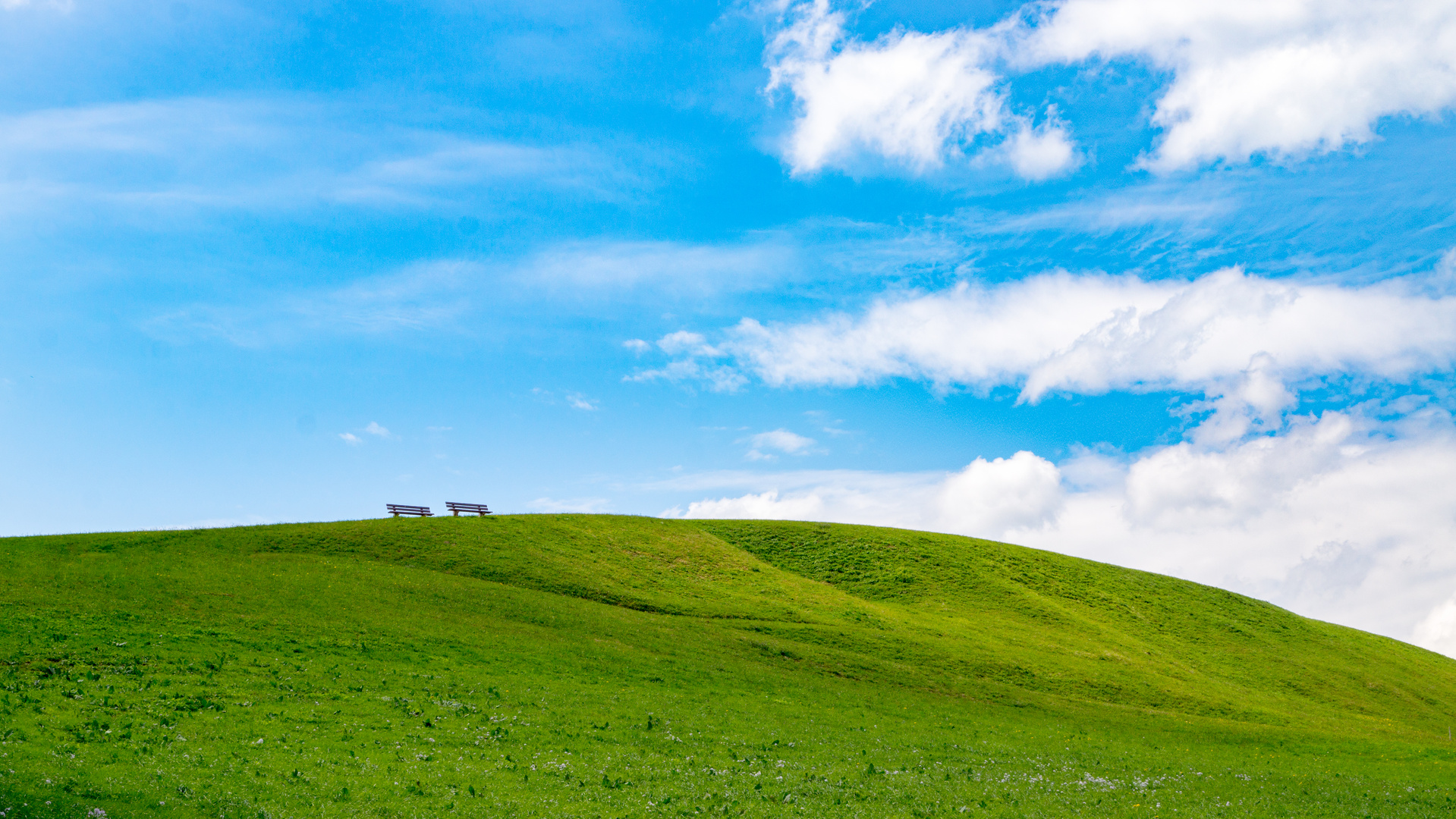 Windows XP 