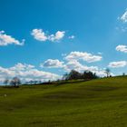 Windows XP Landschaft gefunden