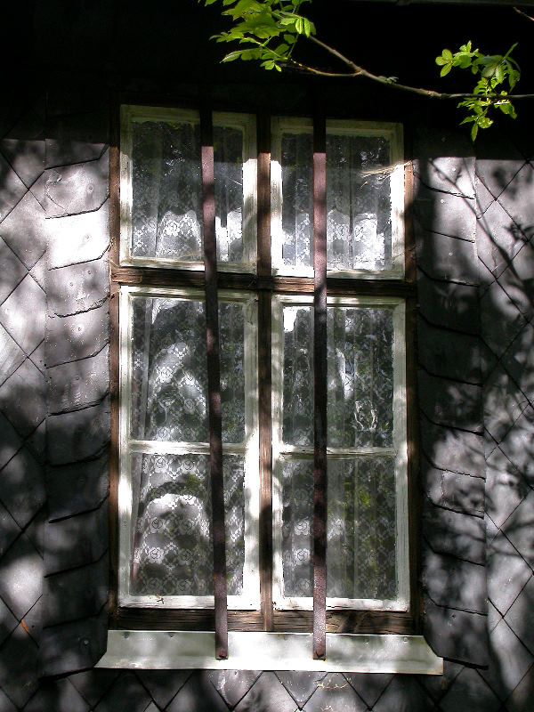 Windows_2006