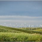 Windpark