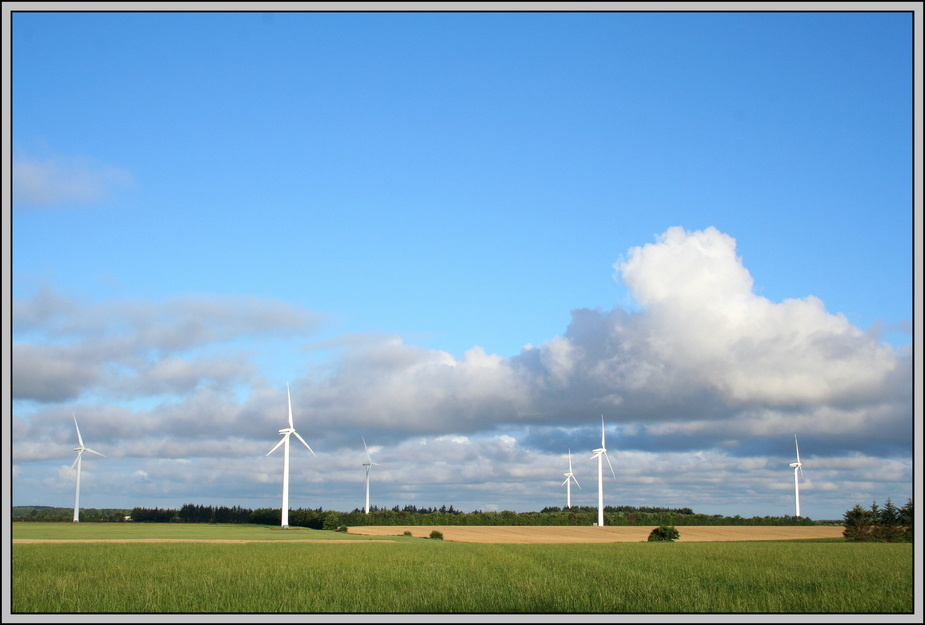 Windpark