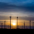 Windpark an der Nordsee südlich von Heide