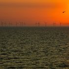 Windpark bei Bornholm II, Ostsee