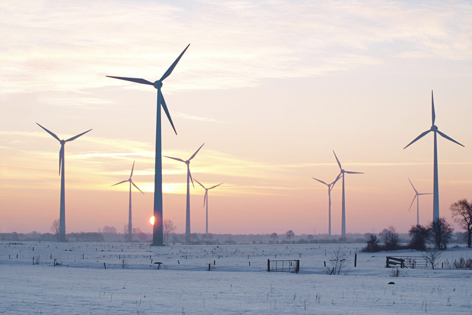 Windpark bei Sonnenaufgang