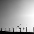 Windpark, Costa Calma