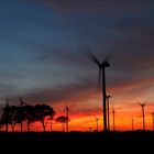 ...Windpark...