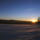 Windpark im Abendlicht