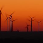 Windpark im Abendrot