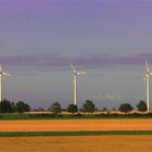 Windpark im Feld