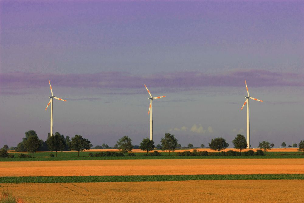 Windpark im Feld von Polar Wolf 