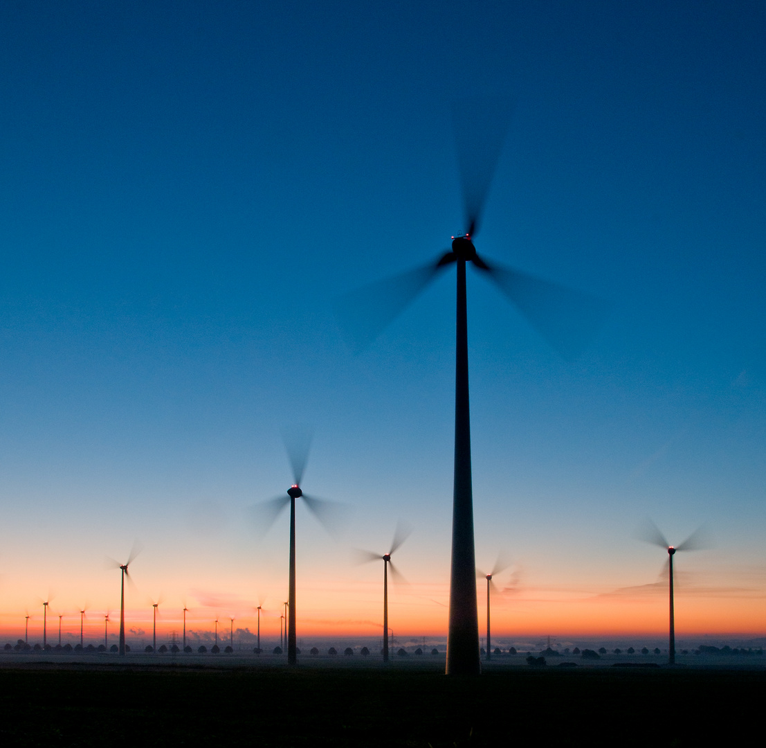 Windpark im Morgenrot