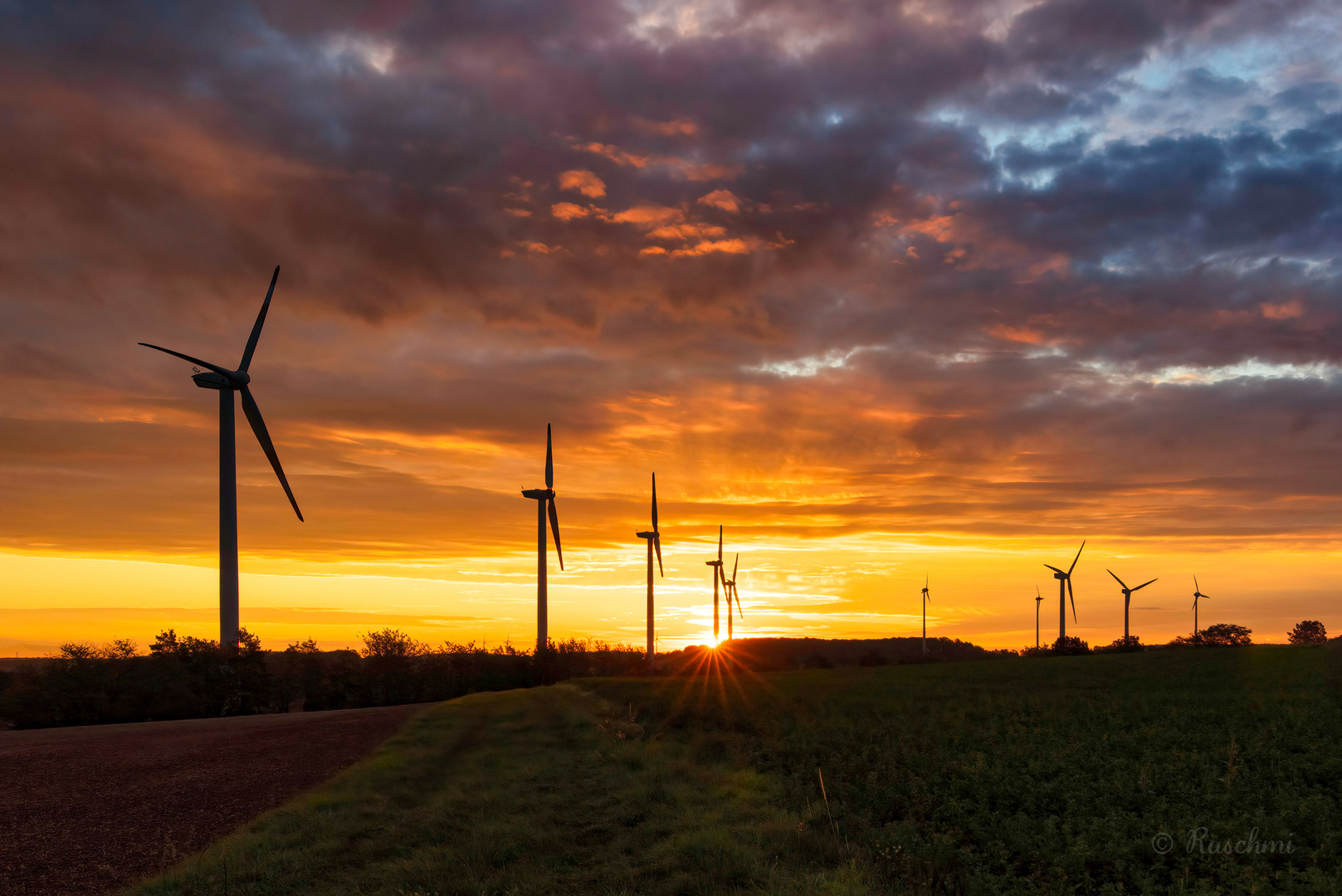 WINDPARK IM MORGENROT