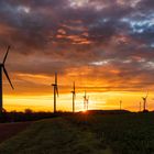 WINDPARK IM MORGENROT