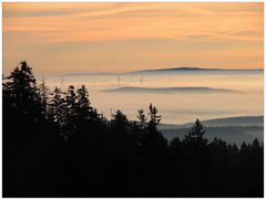 Windpark im Nebel