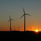 Windpark in Hedwigenkoog bei Büsum