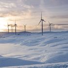Windpark in Norwegen
