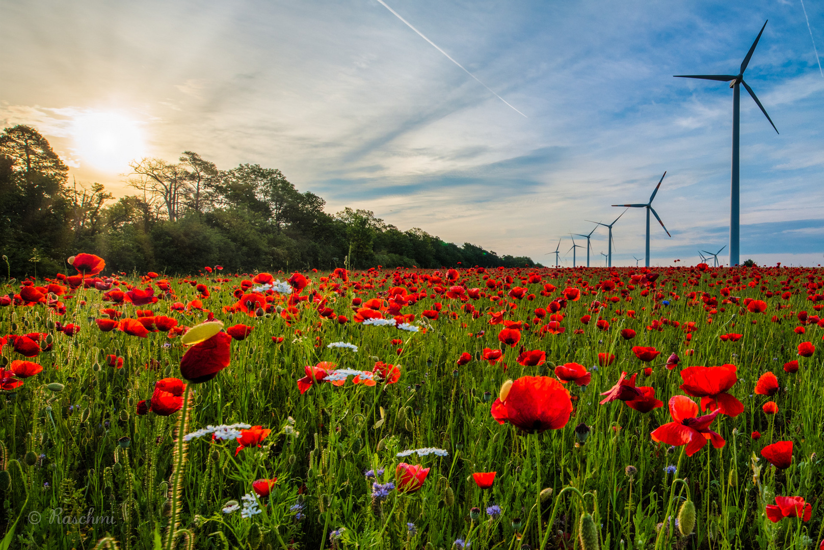 WINDPARK in ROT