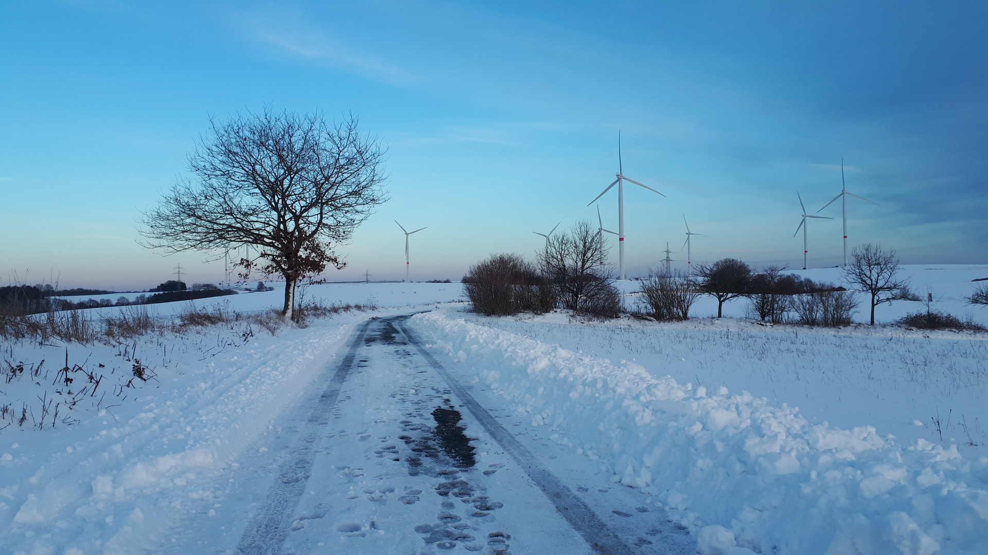 Windpark Lambsborn