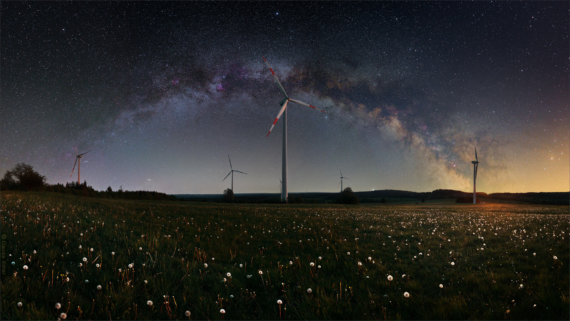 Windpark mit Pusteblumen