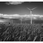 Windpark Neusiedlersee