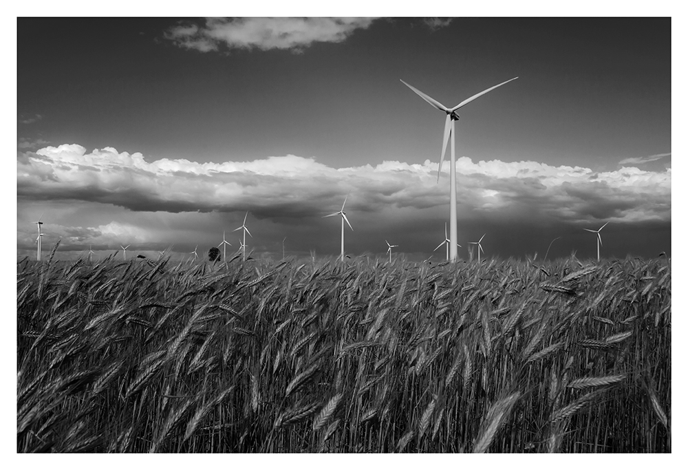 Windpark Neusiedlersee