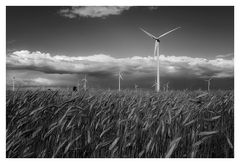 Windpark Neusiedlersee