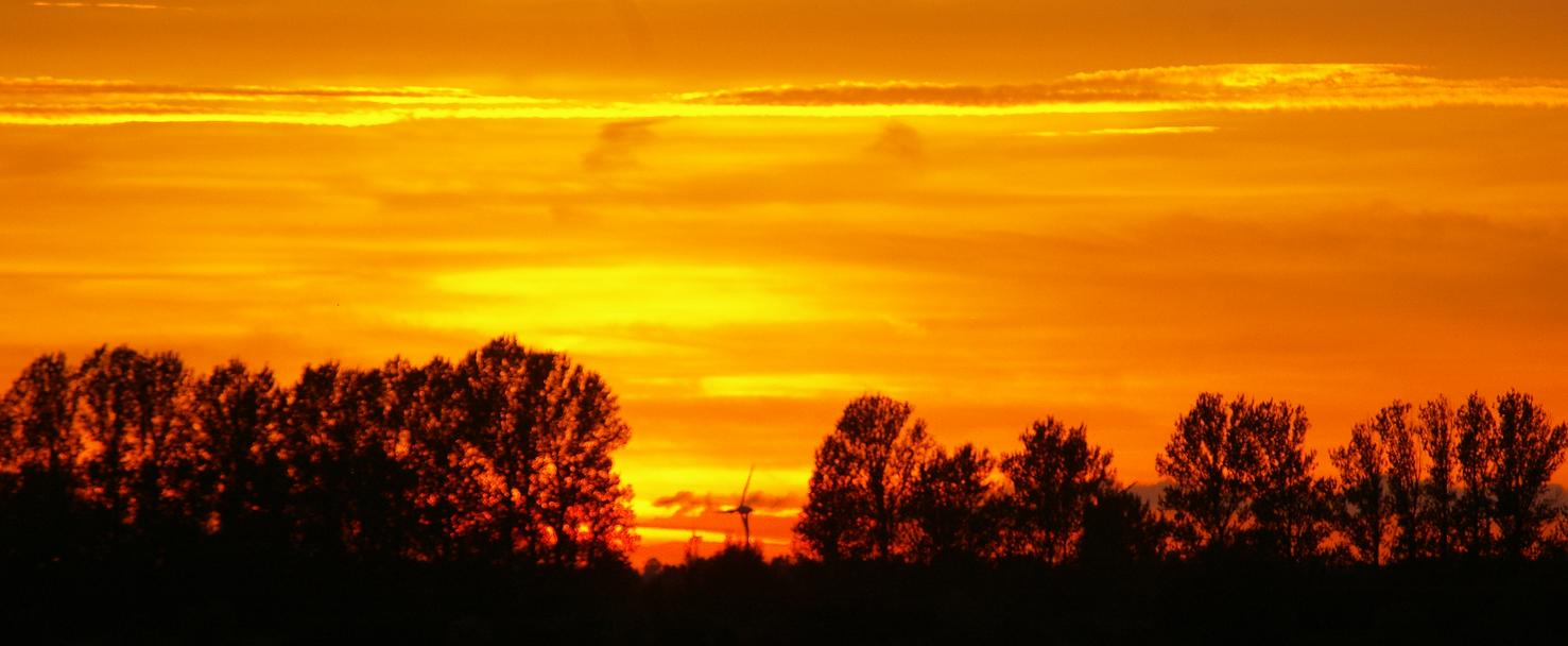 Windrad bei Sonnenuntergang