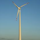 Windrad Enercon E66 bei Haschenbrok